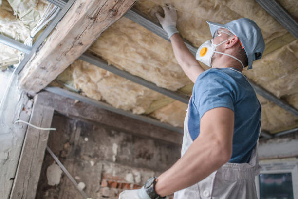 Best Home Insulation Services  in Redby, MN