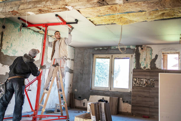 Best Insulation Replacement Services  in Redby, MN