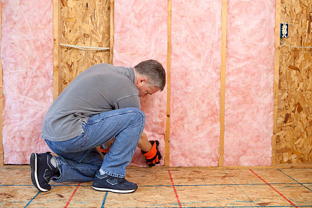 Insulation Replacement Services in Redby, MN