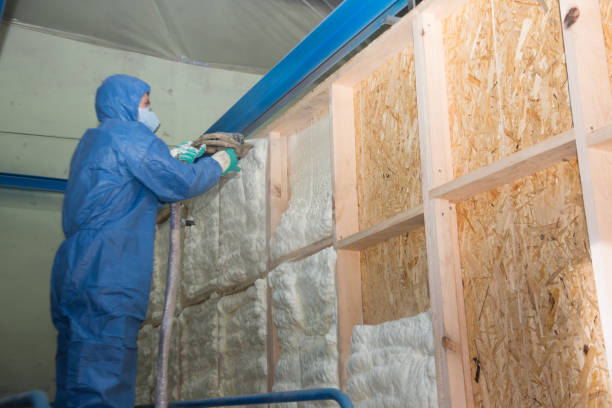 Best Insulation Contractors for Homes  in Redby, MN