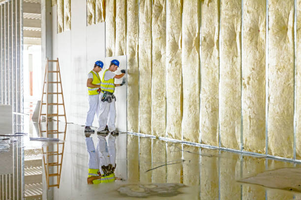 Best Energy-efficient Insulation  in Redby, MN